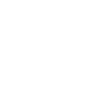 Nic Logo White